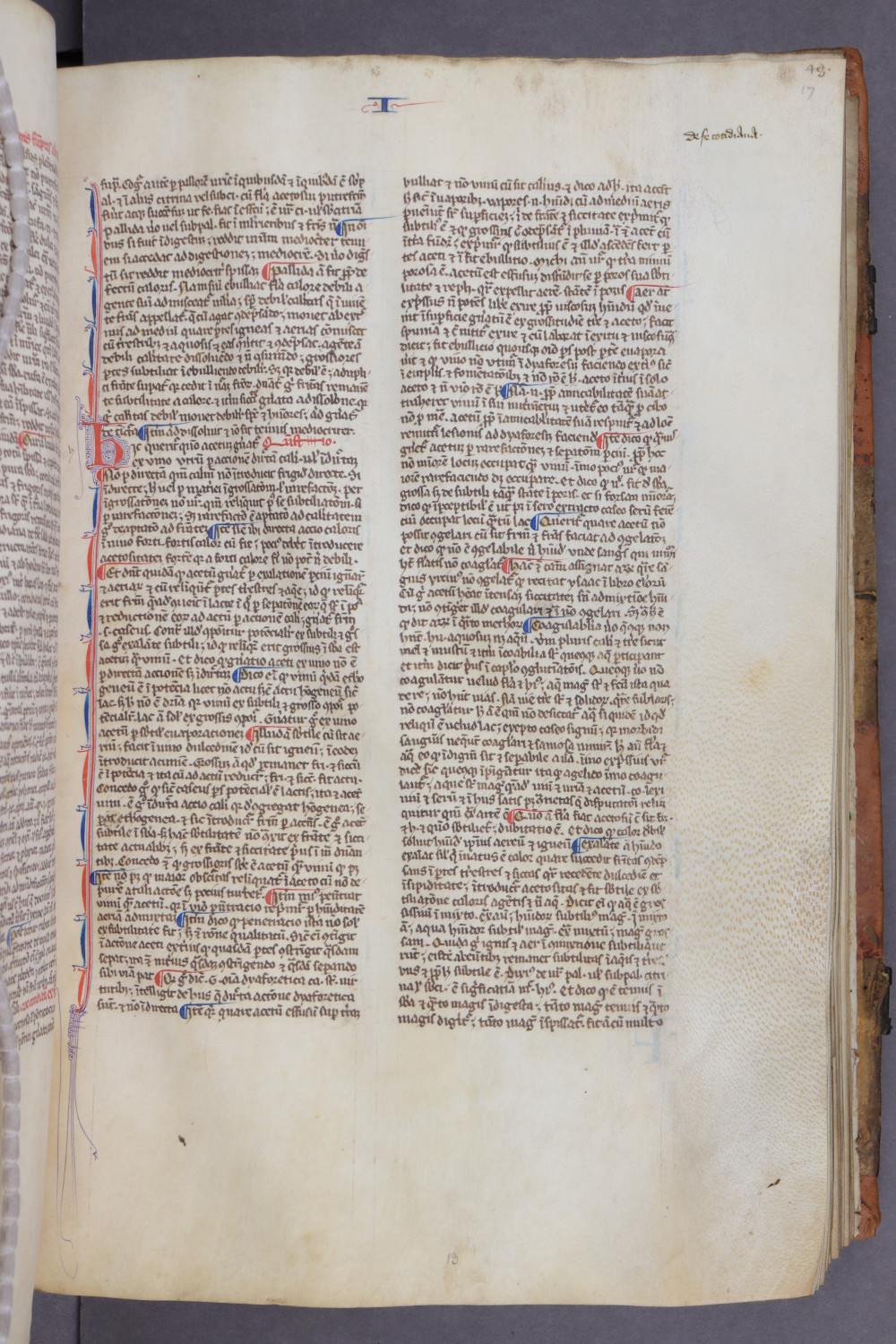 Folio 17 recto